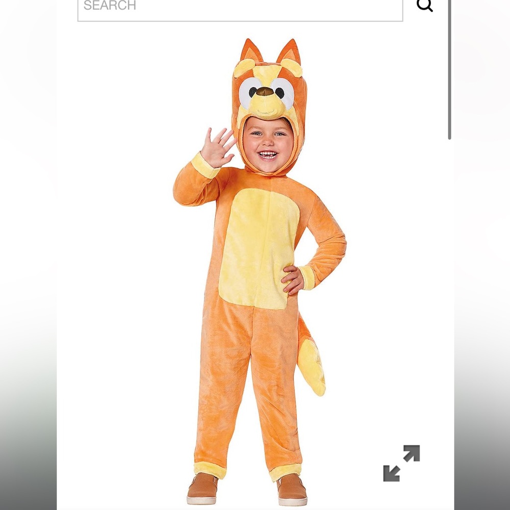 Bluey Bingo toddler costume size Toddler 2